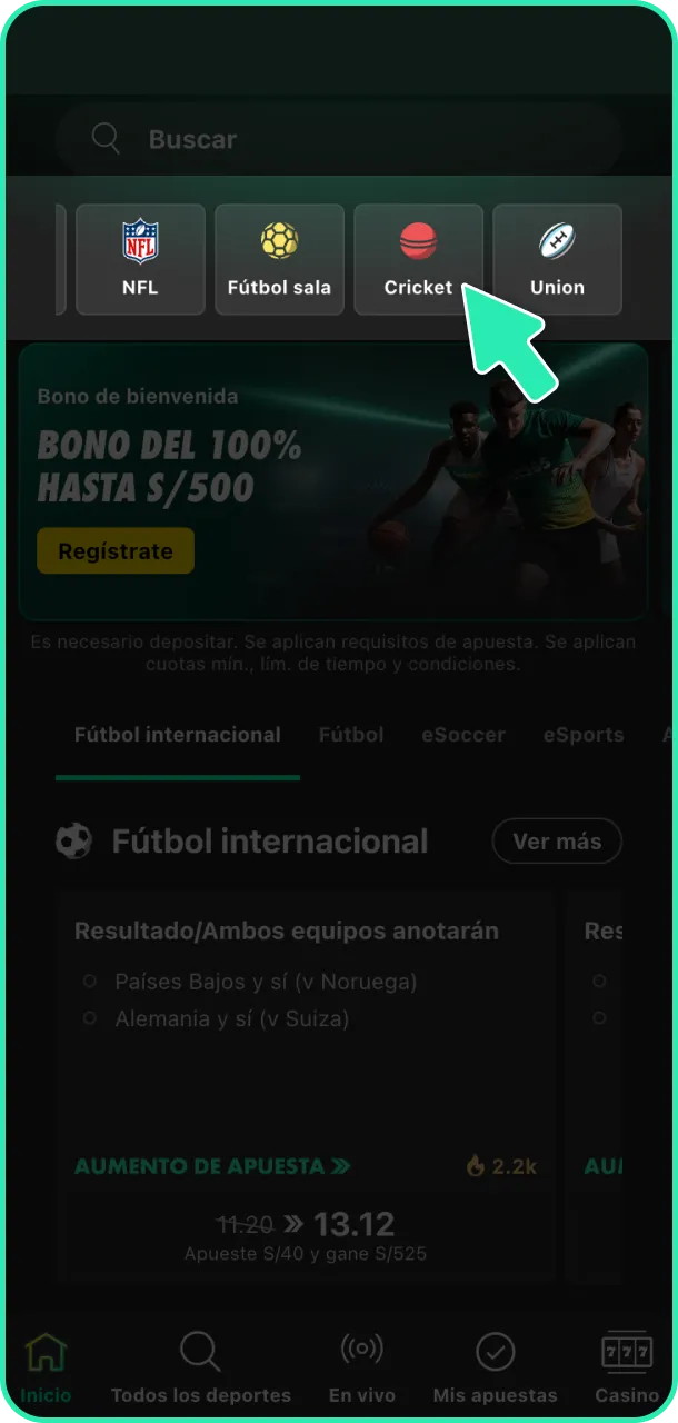 Navega a la sección de cricket dentro del portal de Bet365.