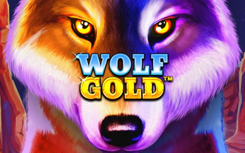 La plataforma Bet365 te ofrece jugar al juego Wolf Gold.